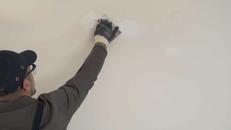 Best Drywall Removal and Disposal  in Colon, MI